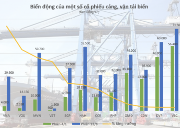 TOP 10 mã cổ phiếu ngành Vận tải biển tốt chứng khoán Việt Nam 2022