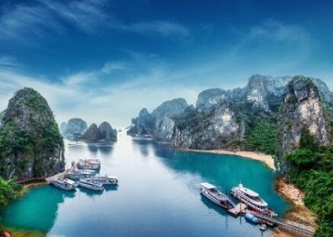 TOP 10 mã cổ phiếu ngành Du lịch tốt chứng khoán Việt Nam 2022