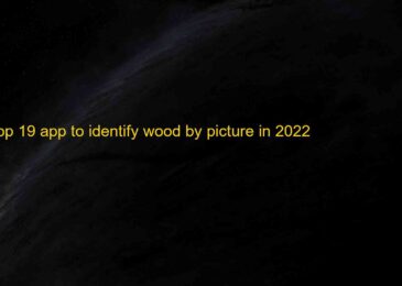 Top 19 Apps to Identify Wood by Picture (Android & iOS) 2022