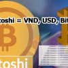 Satoshi là gì? 1 Satoshi Bằng Bao Nhiêu tiền Việt Nam, USD, Bitcoin 2022