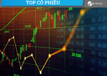 Top 10 cổ phiếu Chứng khoán Tốt nhất nên đầu tư dài hạn Việt Nam 2022