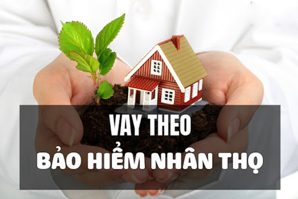 vay-theo-bao-hiem-nhan-tho-vietcombank